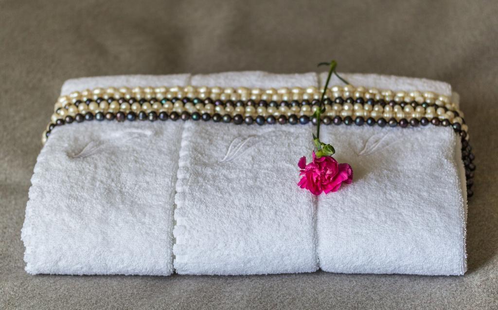 Talaria Resort&Spa Trojanow 部屋 写真